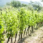 Ancora Del Chianti 호텔