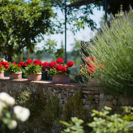 Ancora Del Chianti Hotel *